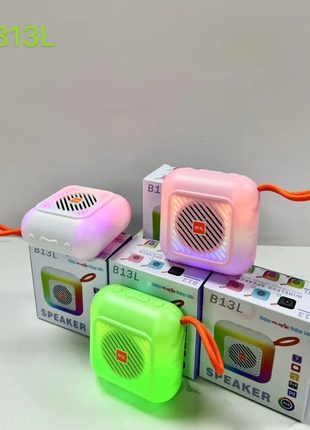 COLOURFUL SPEAKER