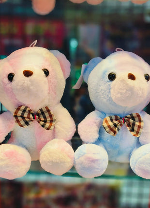 Multi colour teddy 30cm