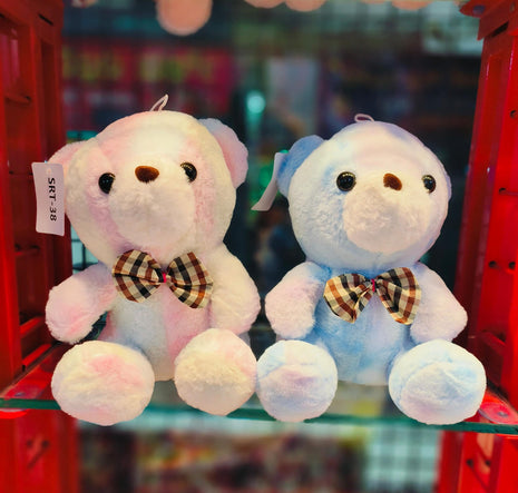 Multi colour teddy 30cm