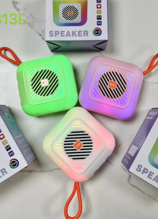 COLOURFUL SPEAKER
